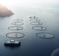 Aquaculture